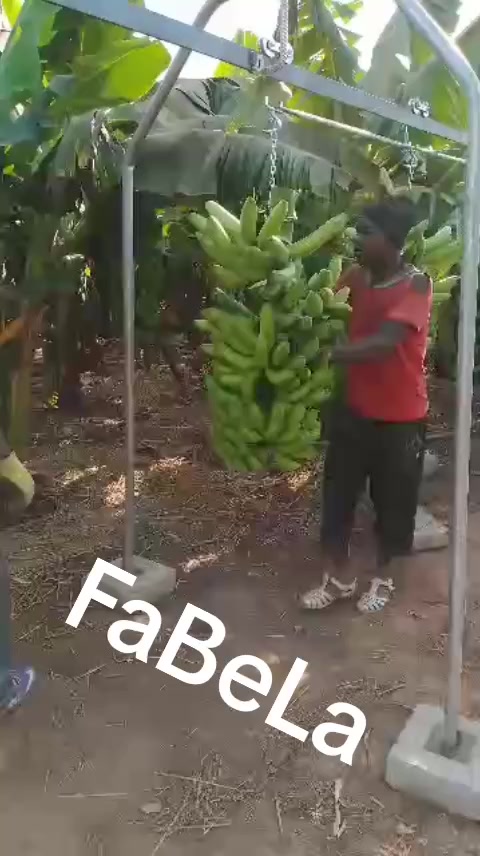 @kakali koïta