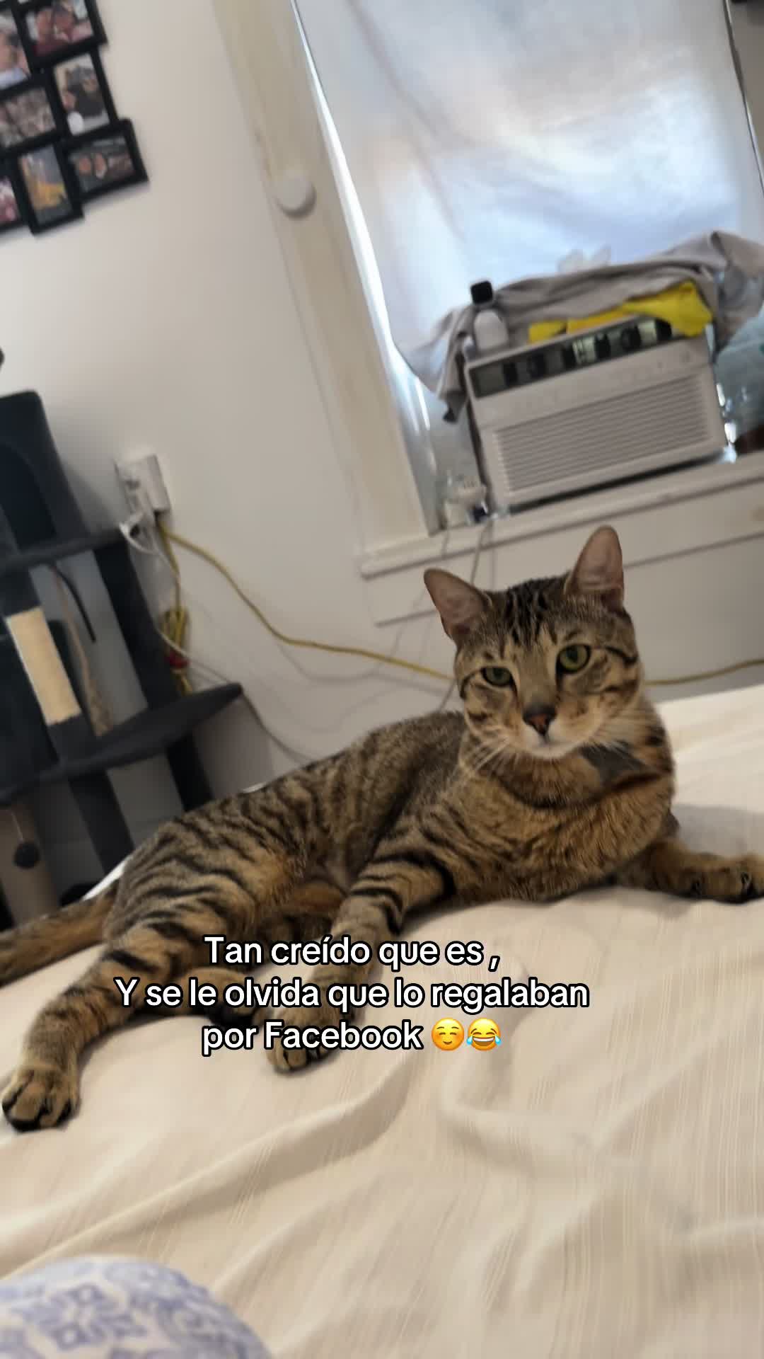 @Danny 🦋