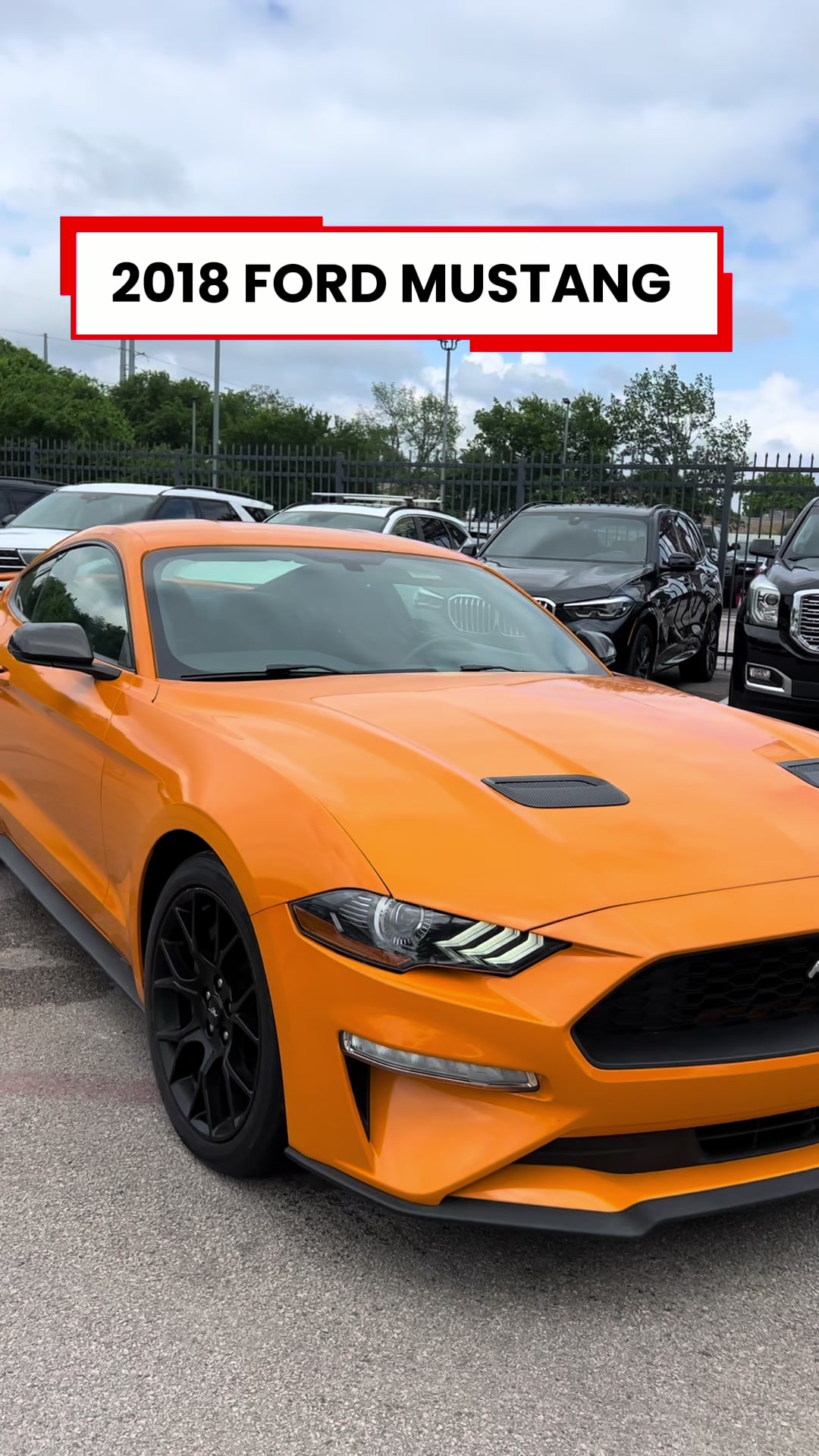 @Alpha Autoplex Dallas