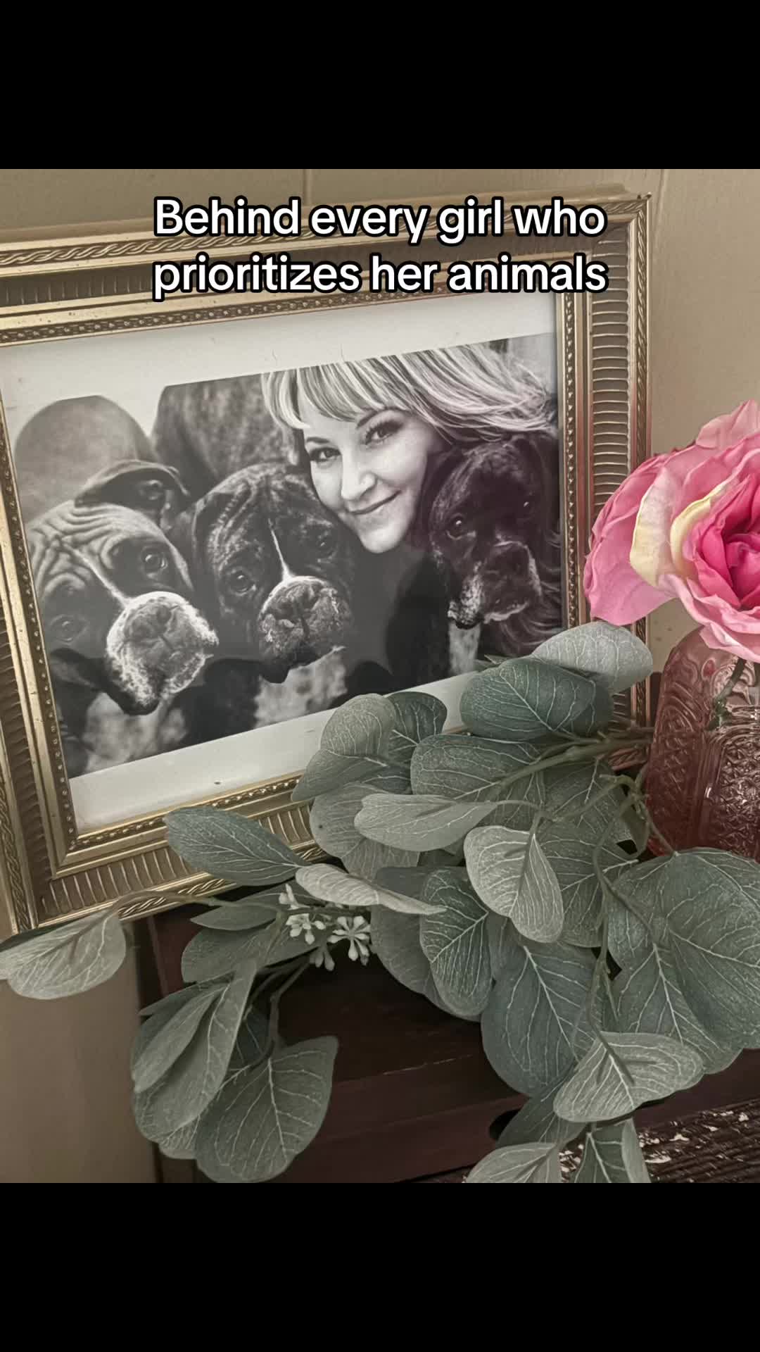 @IndianaBoxerMom