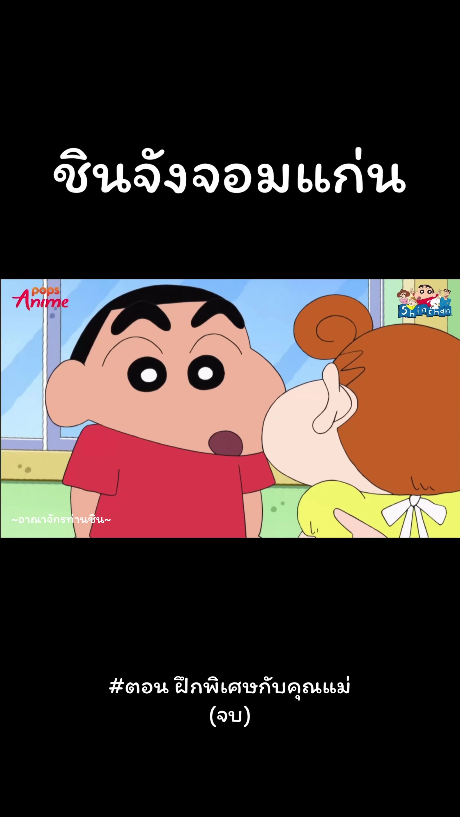 @~อาณาจักรท่านชิน~