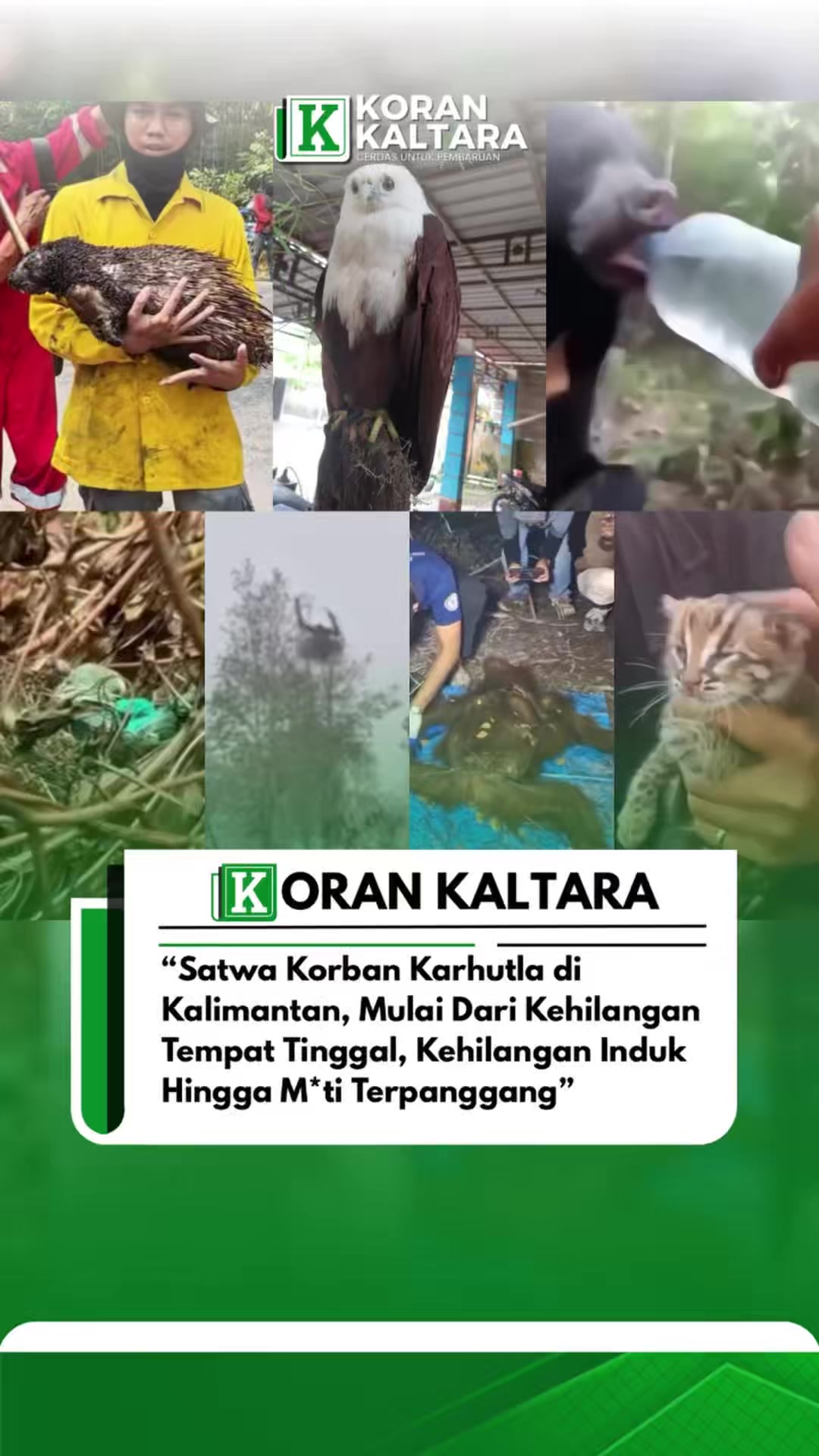 @korankaltara