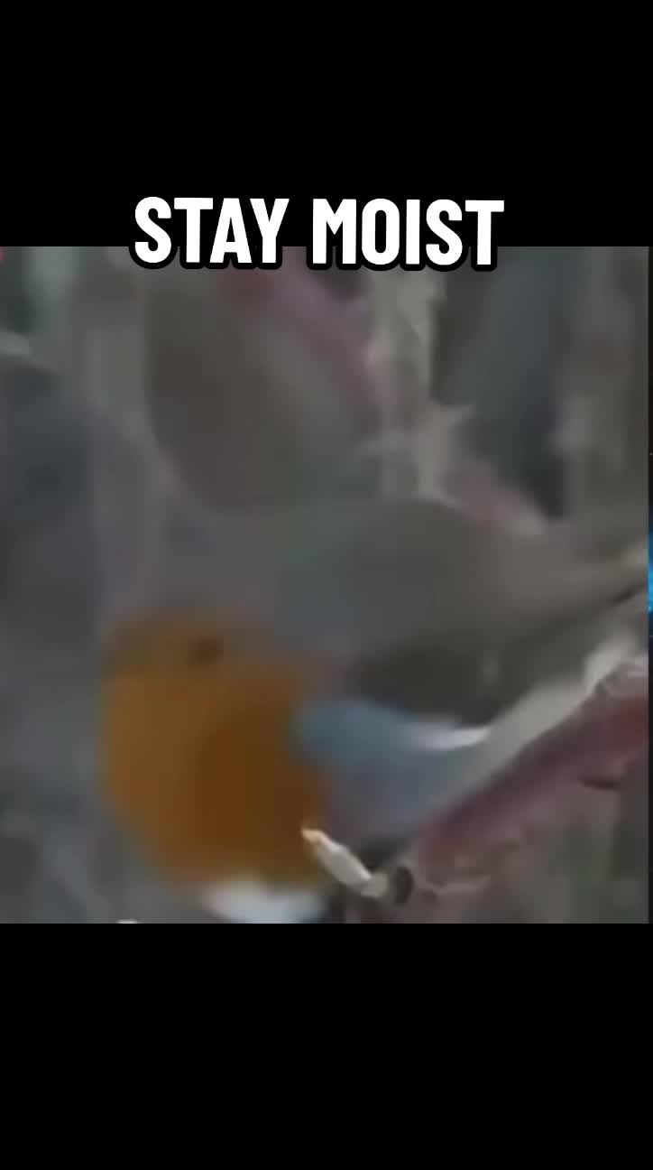 @THEMOISTBUMWHOLE