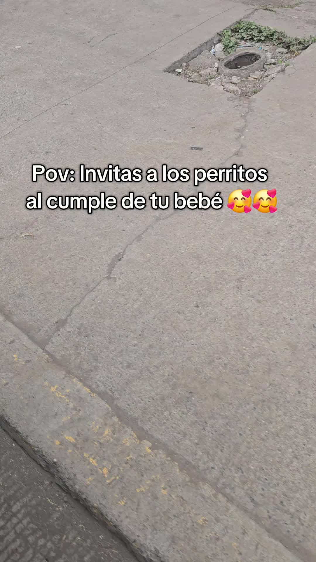 @Michu🐱🐶