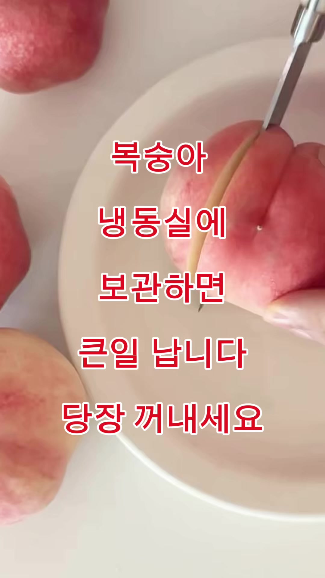 @김 박사입니다