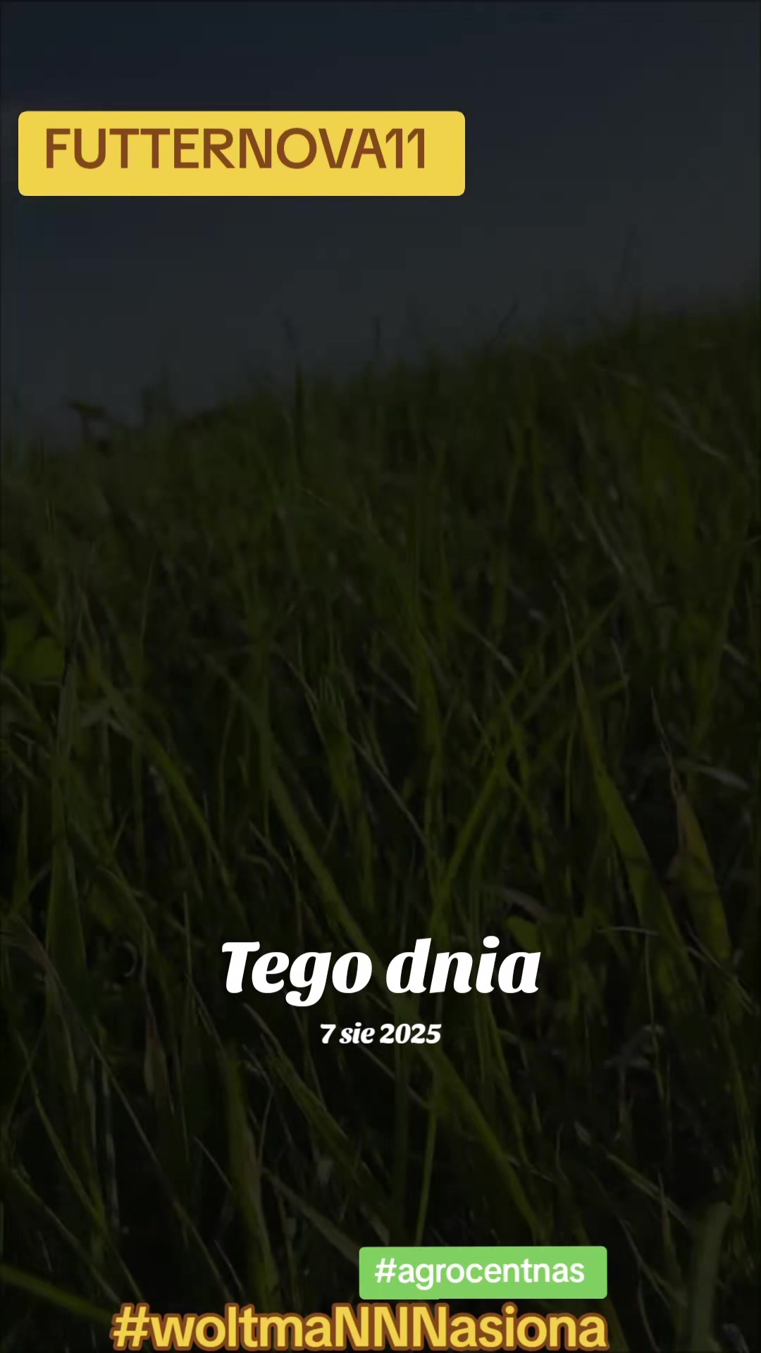 @WOLTMANNNASIONA