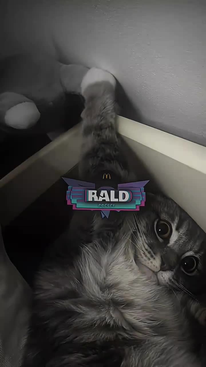 @𝙍ald 𝙋rst