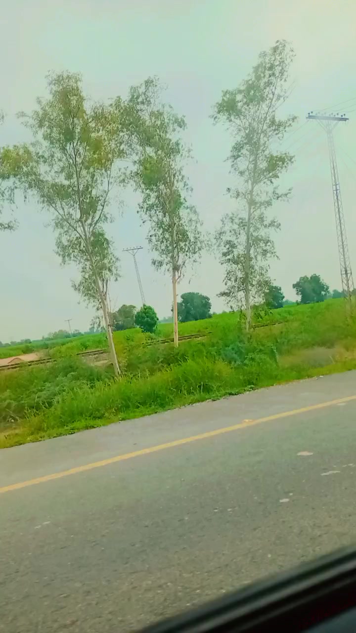 @Rafisalon