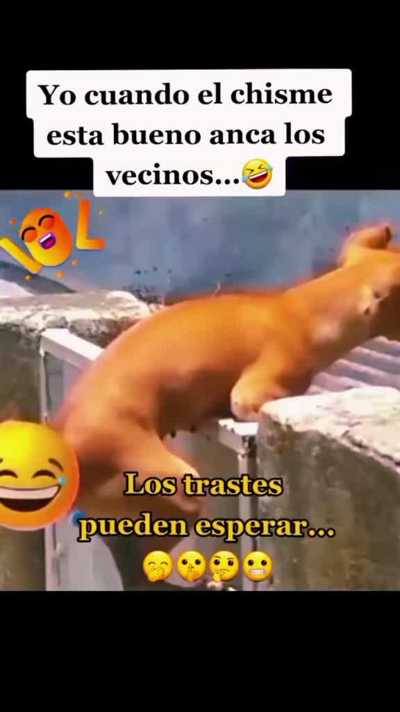 @🌕💫iTs𝐶uRLeeY🌖🧘♀️