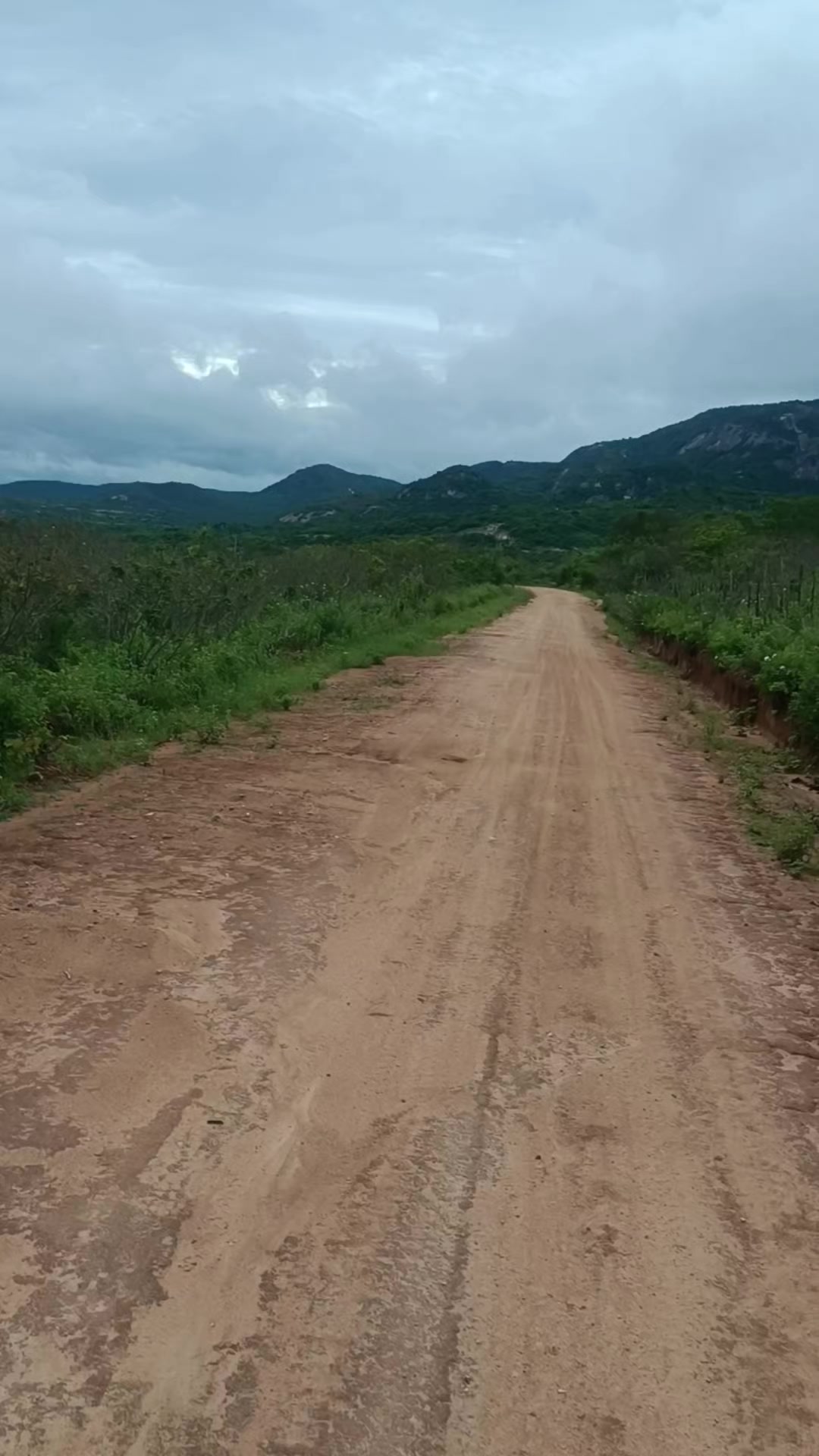 @NordesteCapturado
