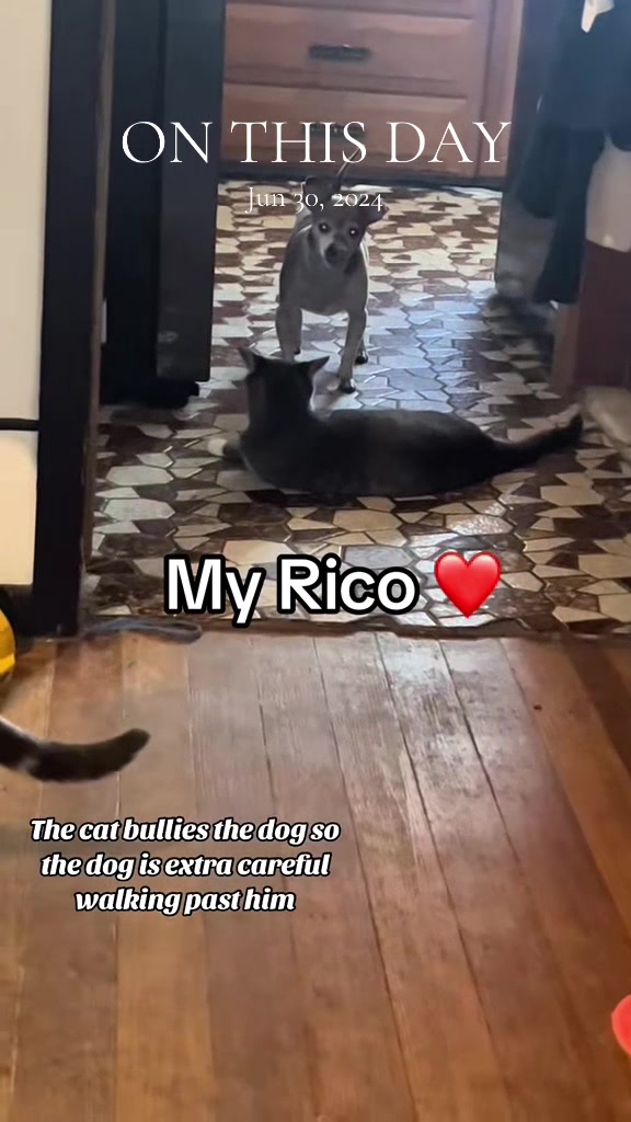 @JessicaStaysHome