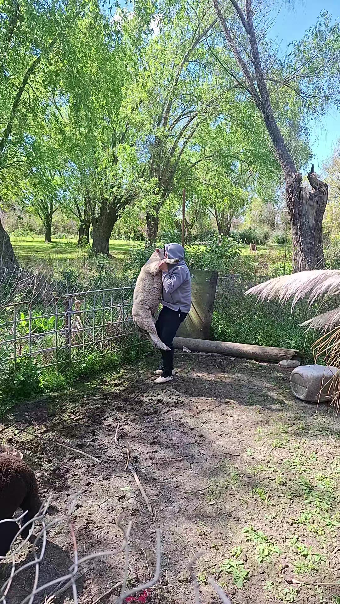 @𝐂𝐋 🤍