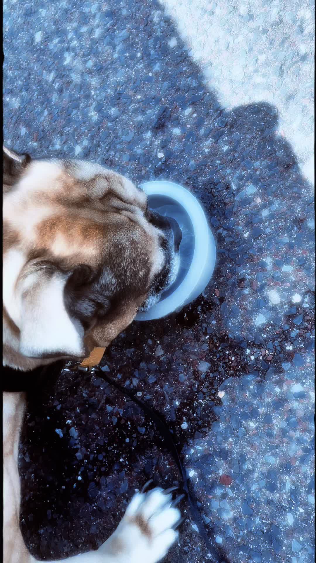 @SteadyStills