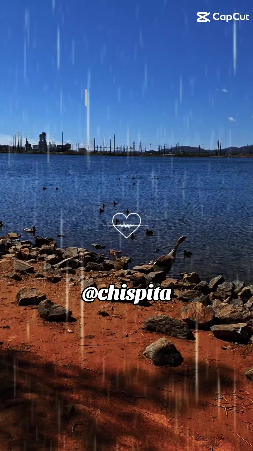 @👤Chispita