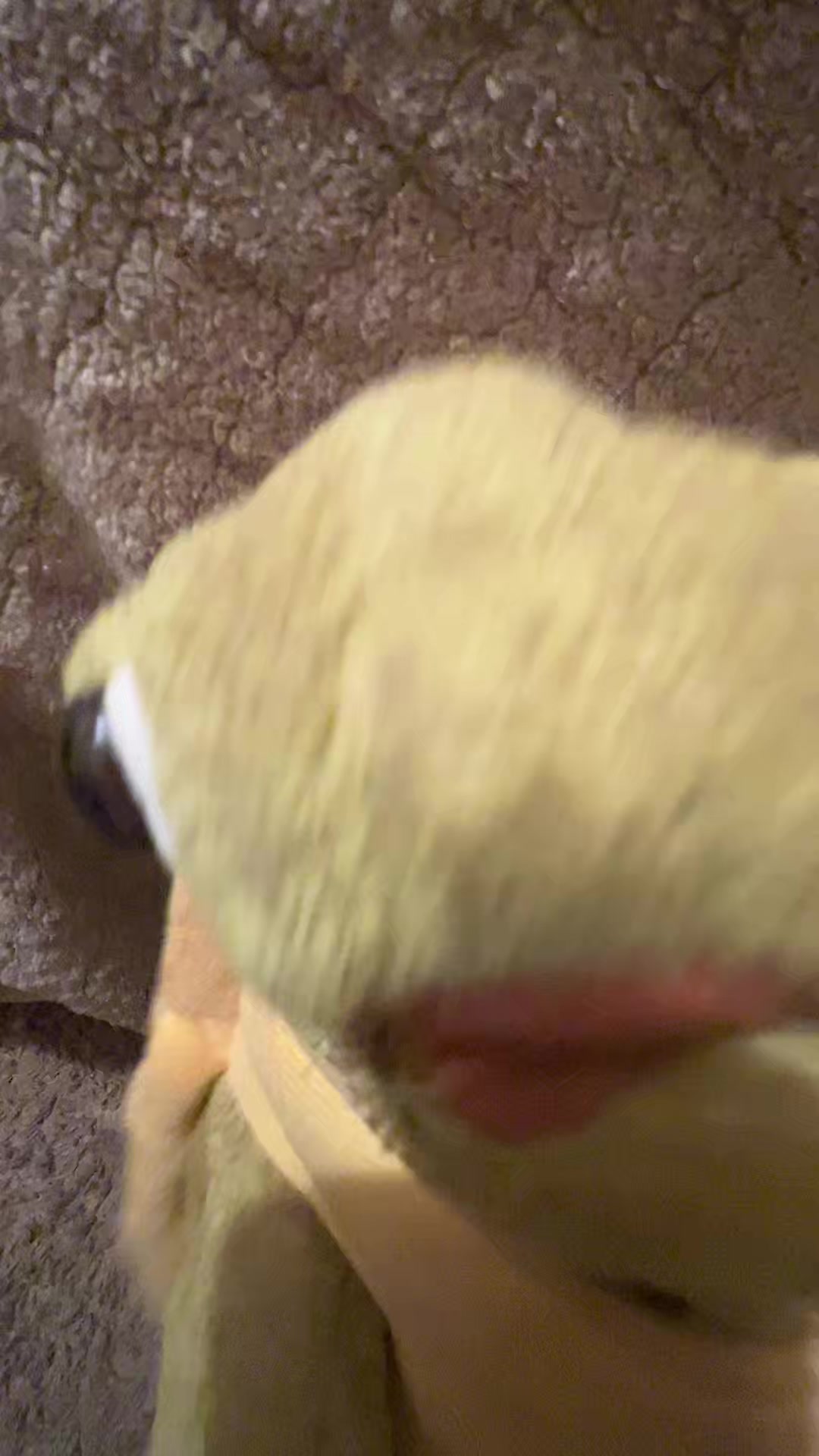 @Josh