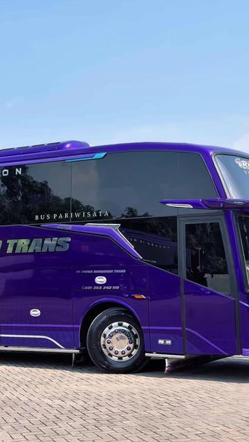 @phdtrans
