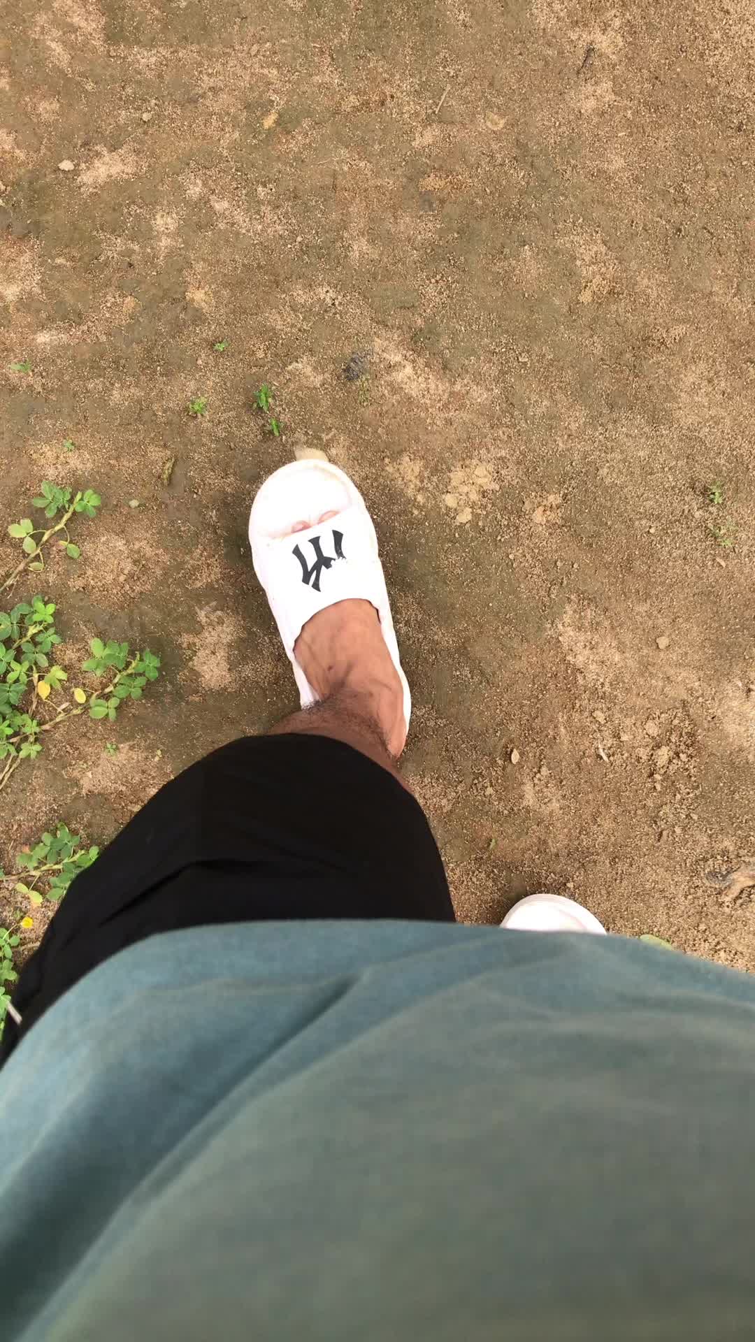 @sipalo.o