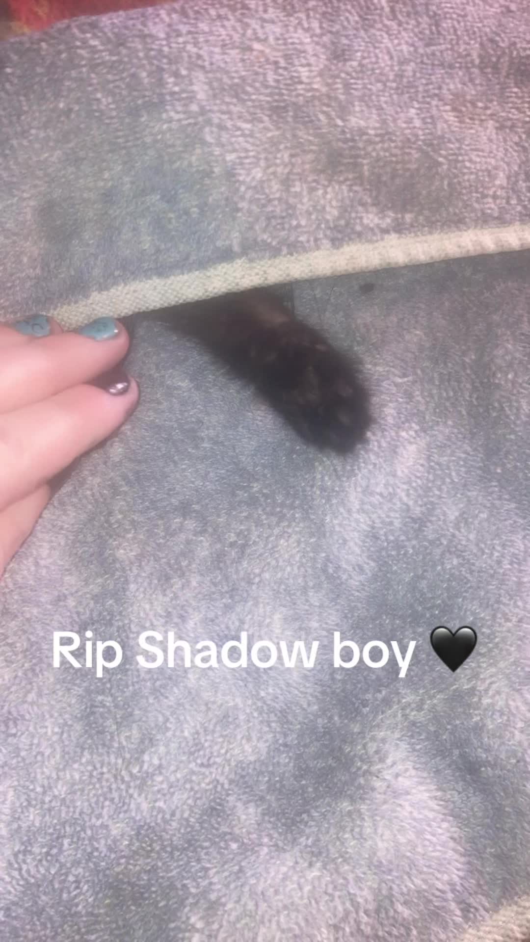 @Kaylee Johnson 🖤😘