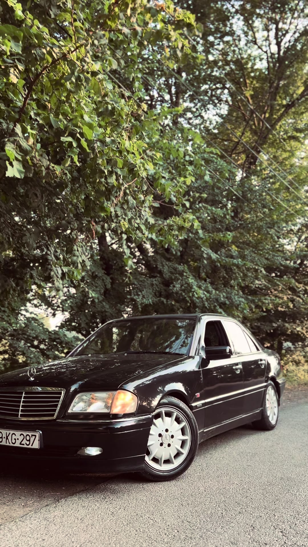 @Talış🦅