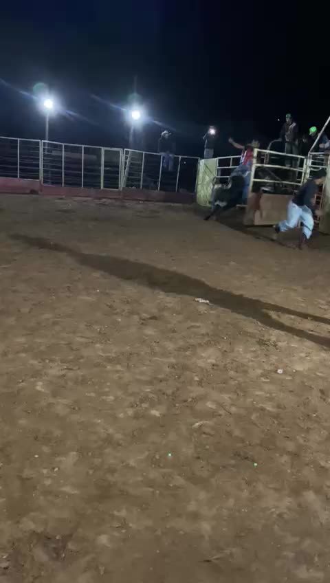 @Fernandin 🌵🇩🇬