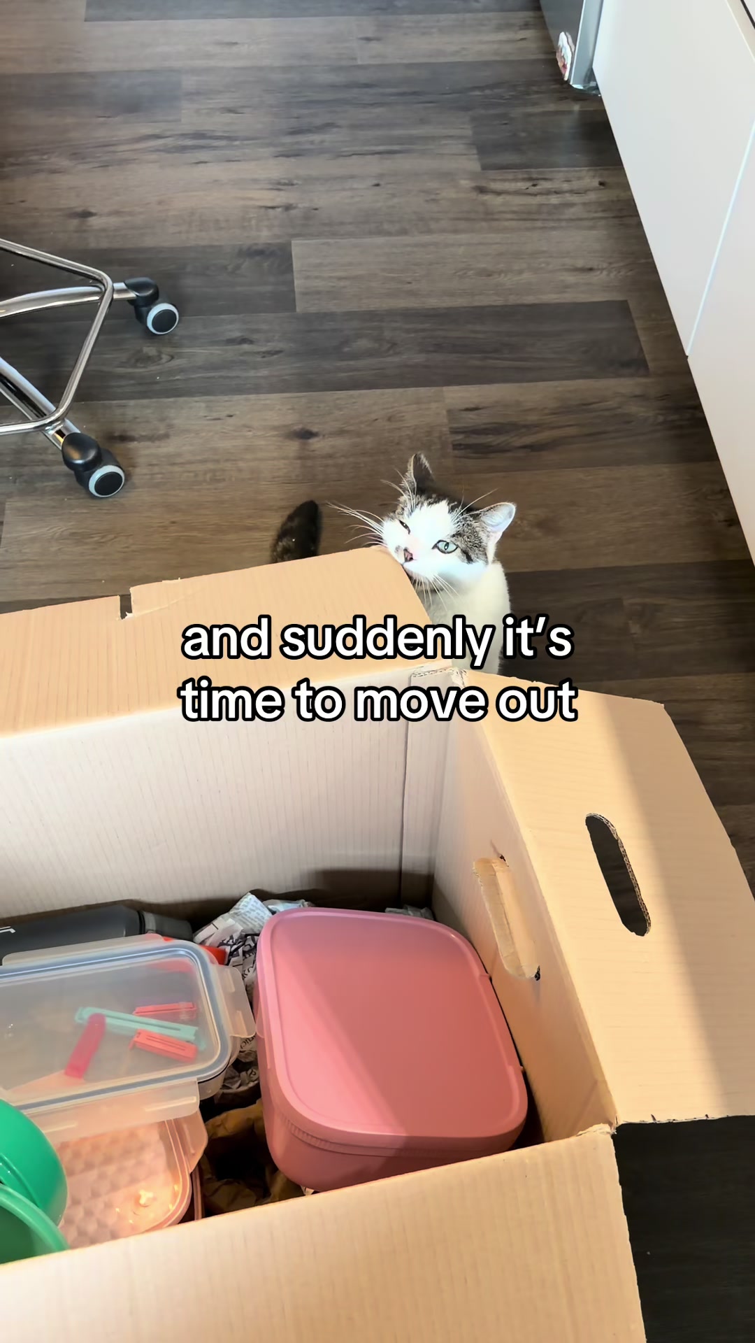@☀️