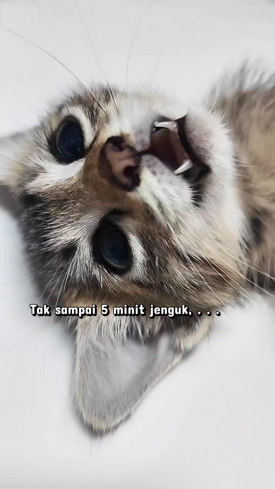 @๐๐๐ช