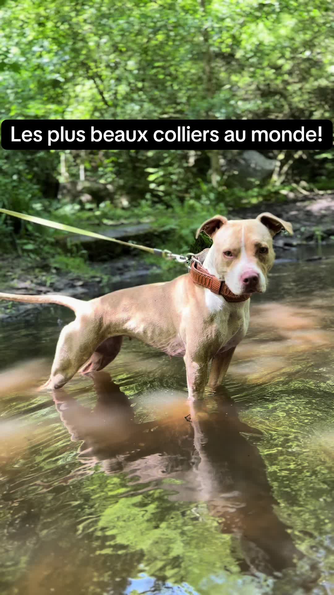 @kiara_isis_apbt