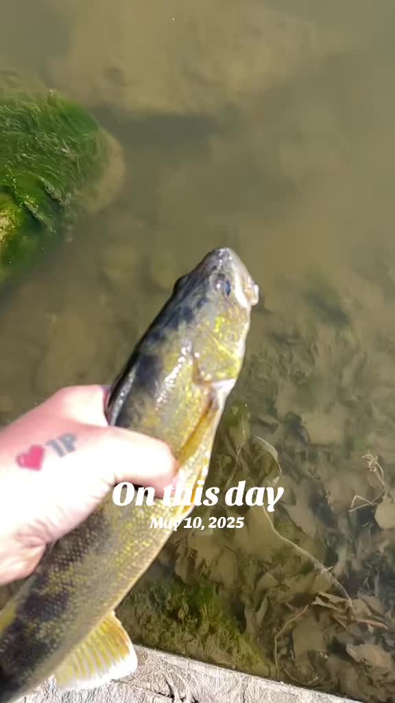 @BGWIOUTDOORS
