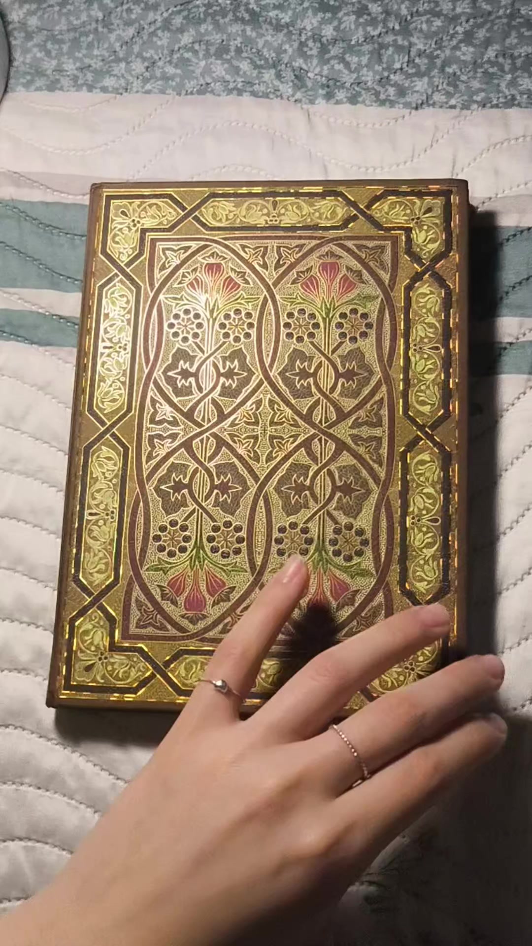 @꧁★فُـ,ـنـِِـِـوُنـِِـِـ★꧂