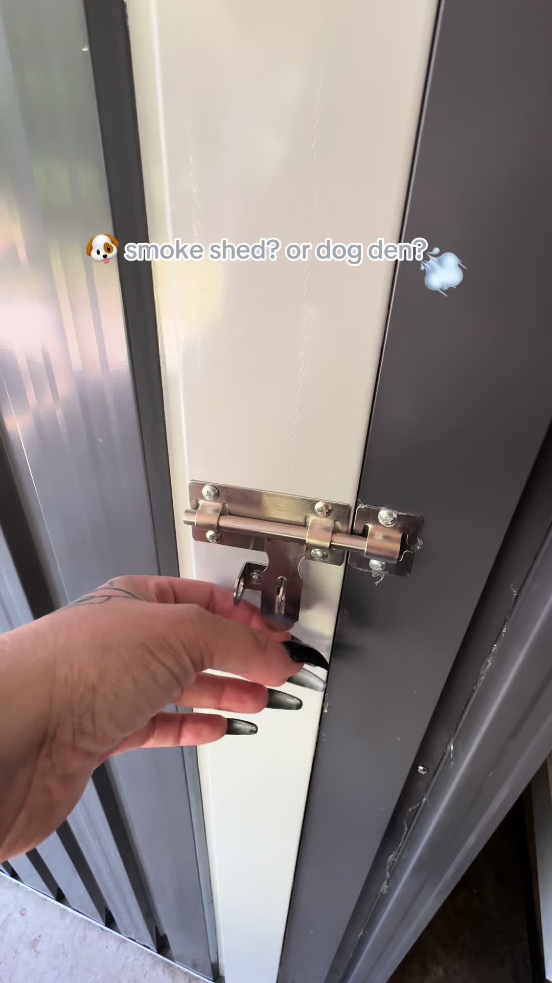@kai•thedogmother🐾
