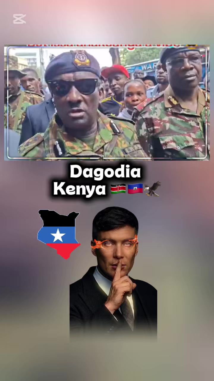@TV_DAGODIA🇭🇹🦁🫡🦅🚨