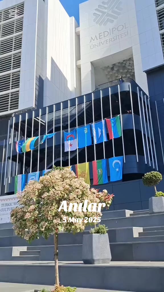 @TheAlizade