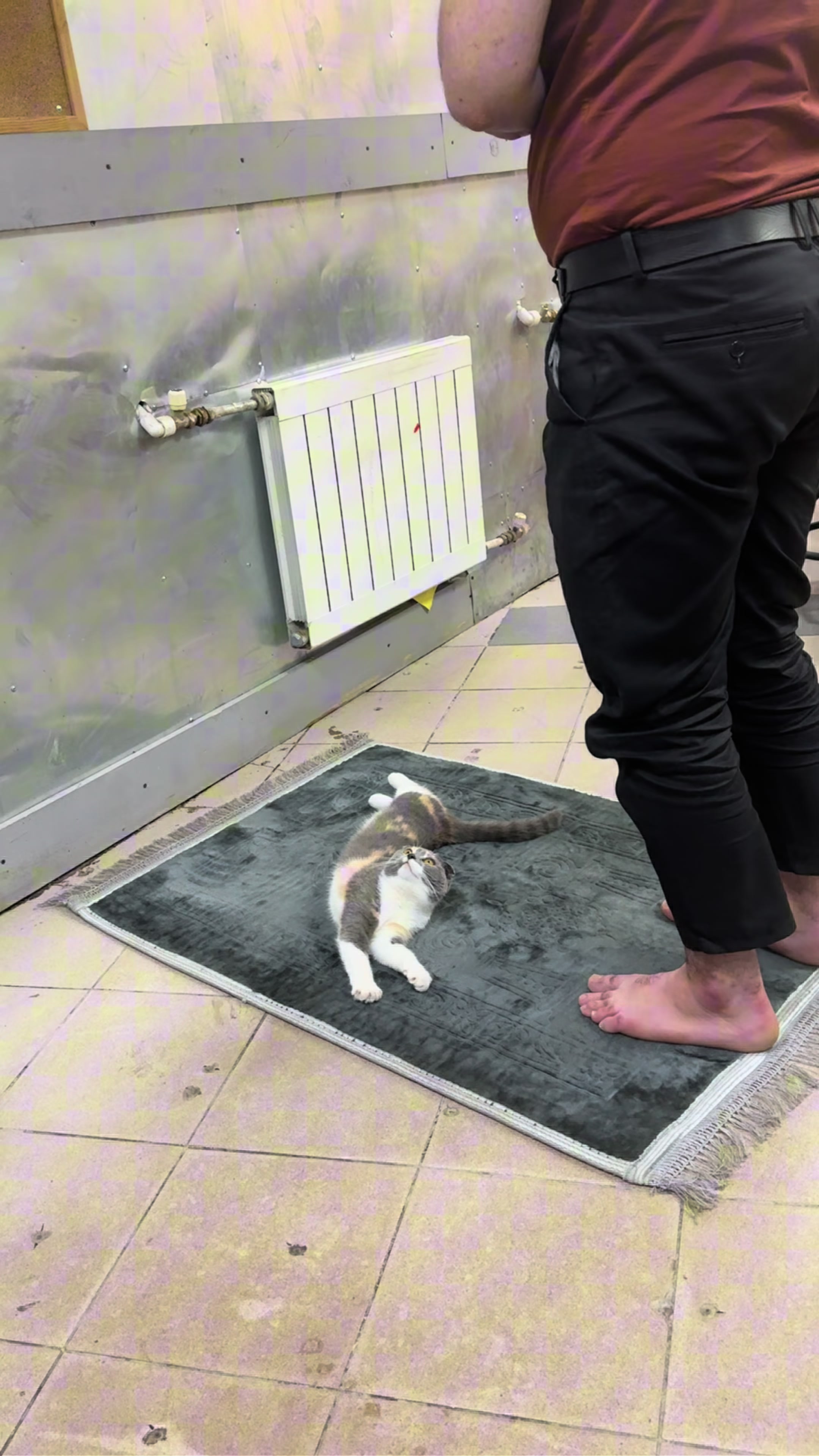 @Суба