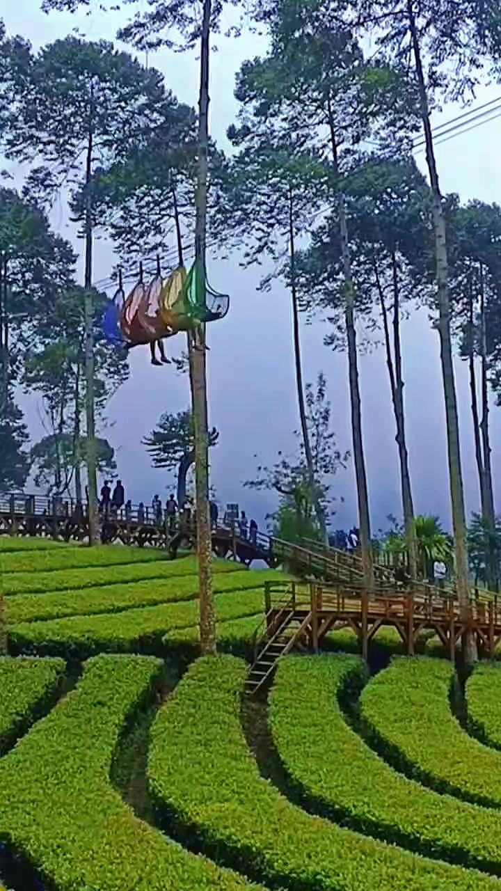 @panamajeep🇮🇩dieng