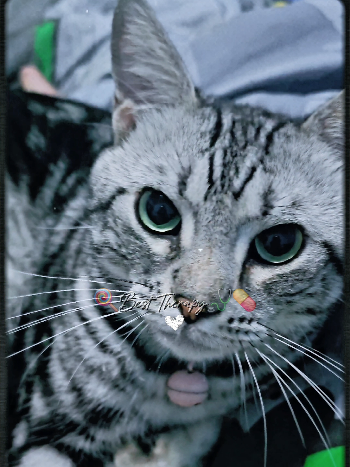 @݁ ˖Ი𐑼˖𝘋𝘶𝘵𝘤𝘩𝘔𝘦𝘸ᯓᡣ𐭩