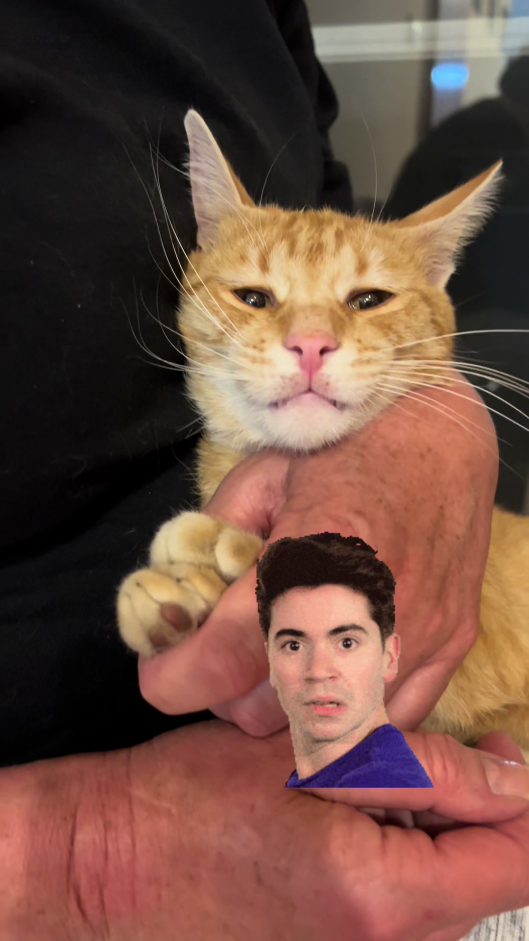 @Cezar, Loki i kompanija😹