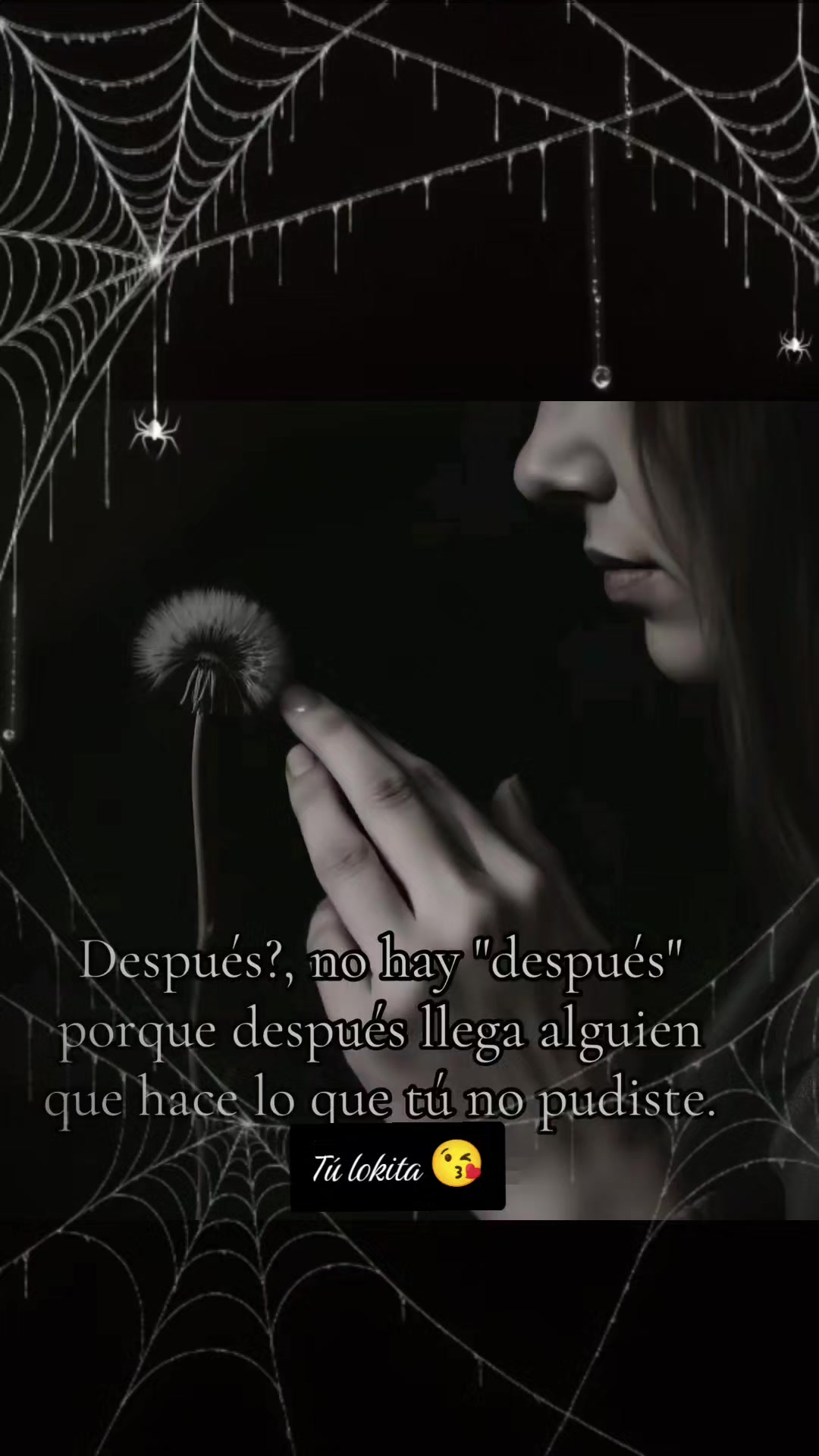 @tulokitax100pree