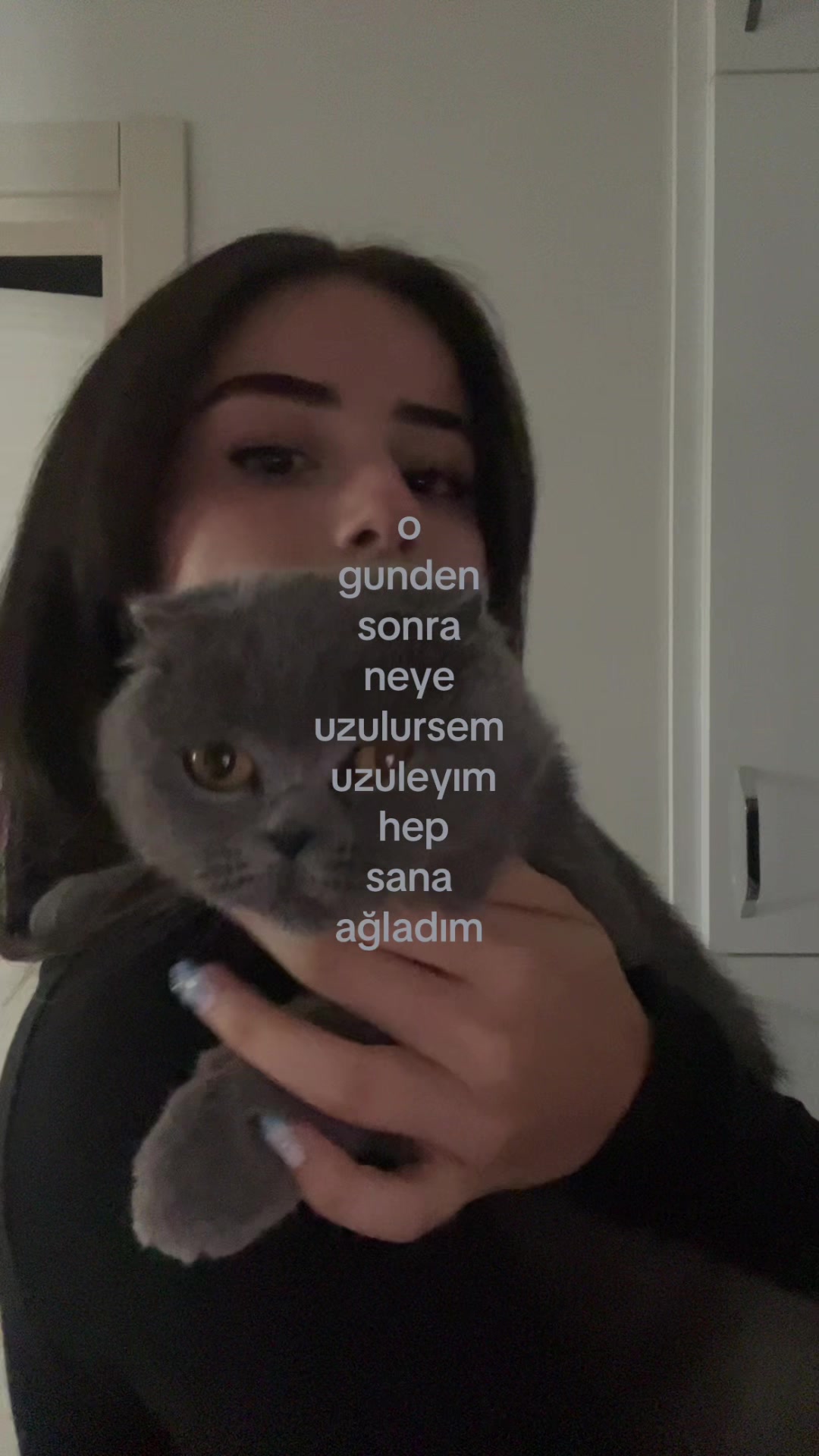@tripcolikk