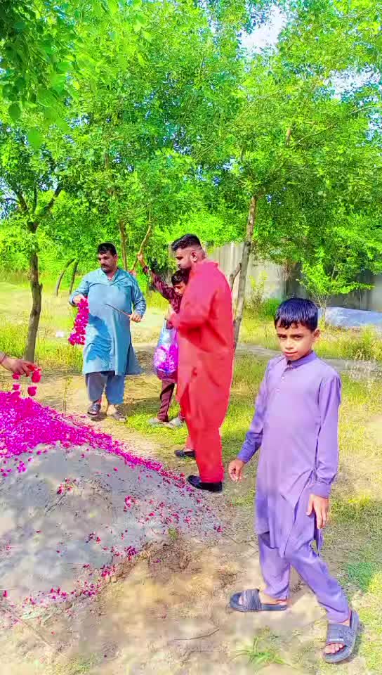 @SHANI GUJJAR