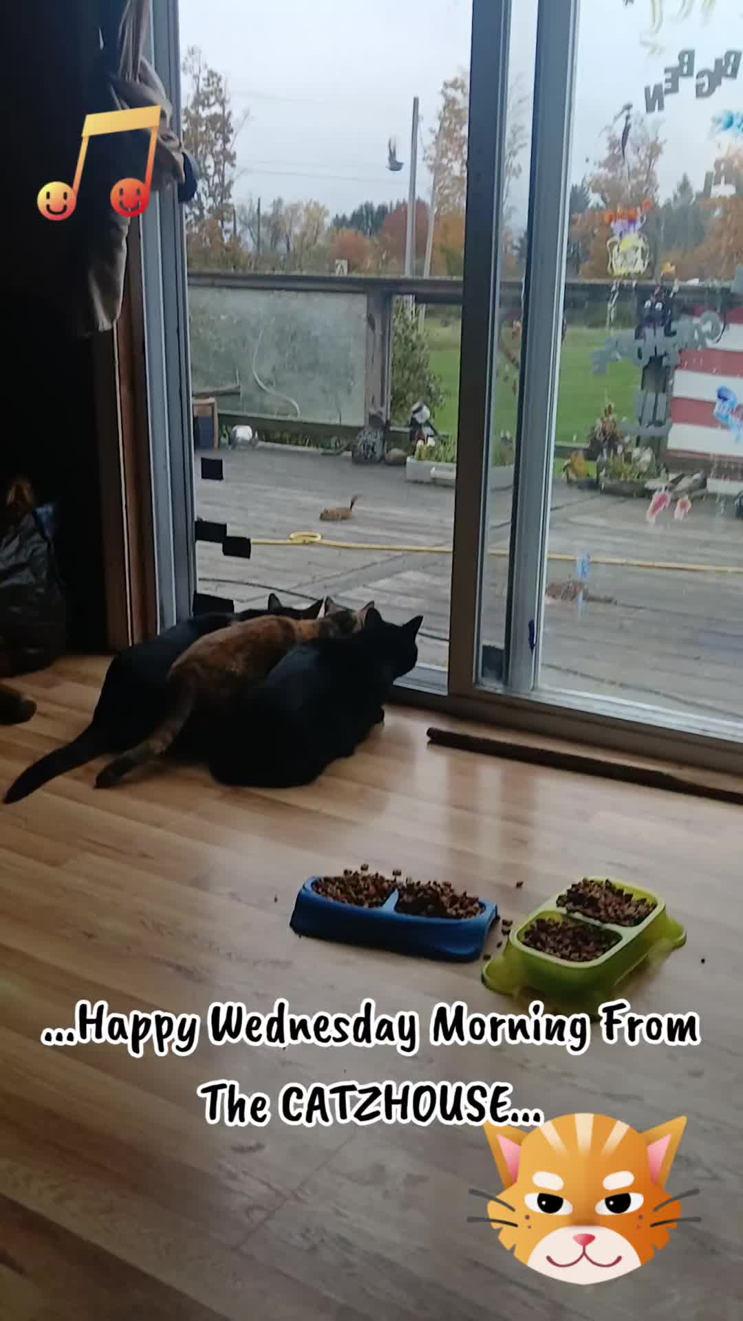 @Booh Hovey crazycatlady3