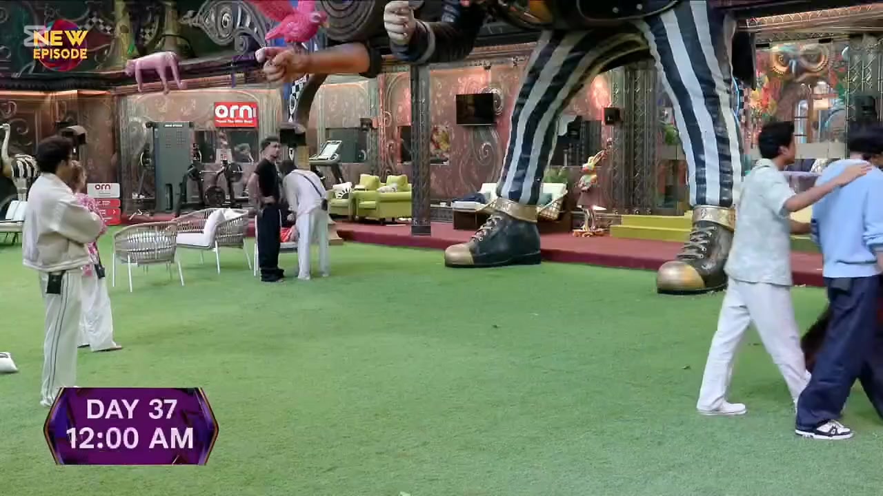 @live tv