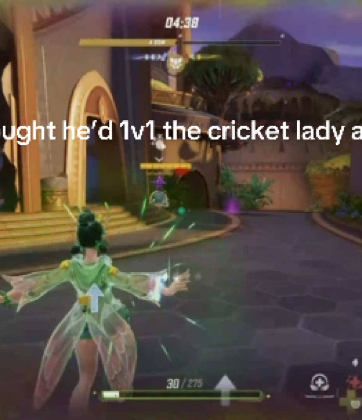 @🦋