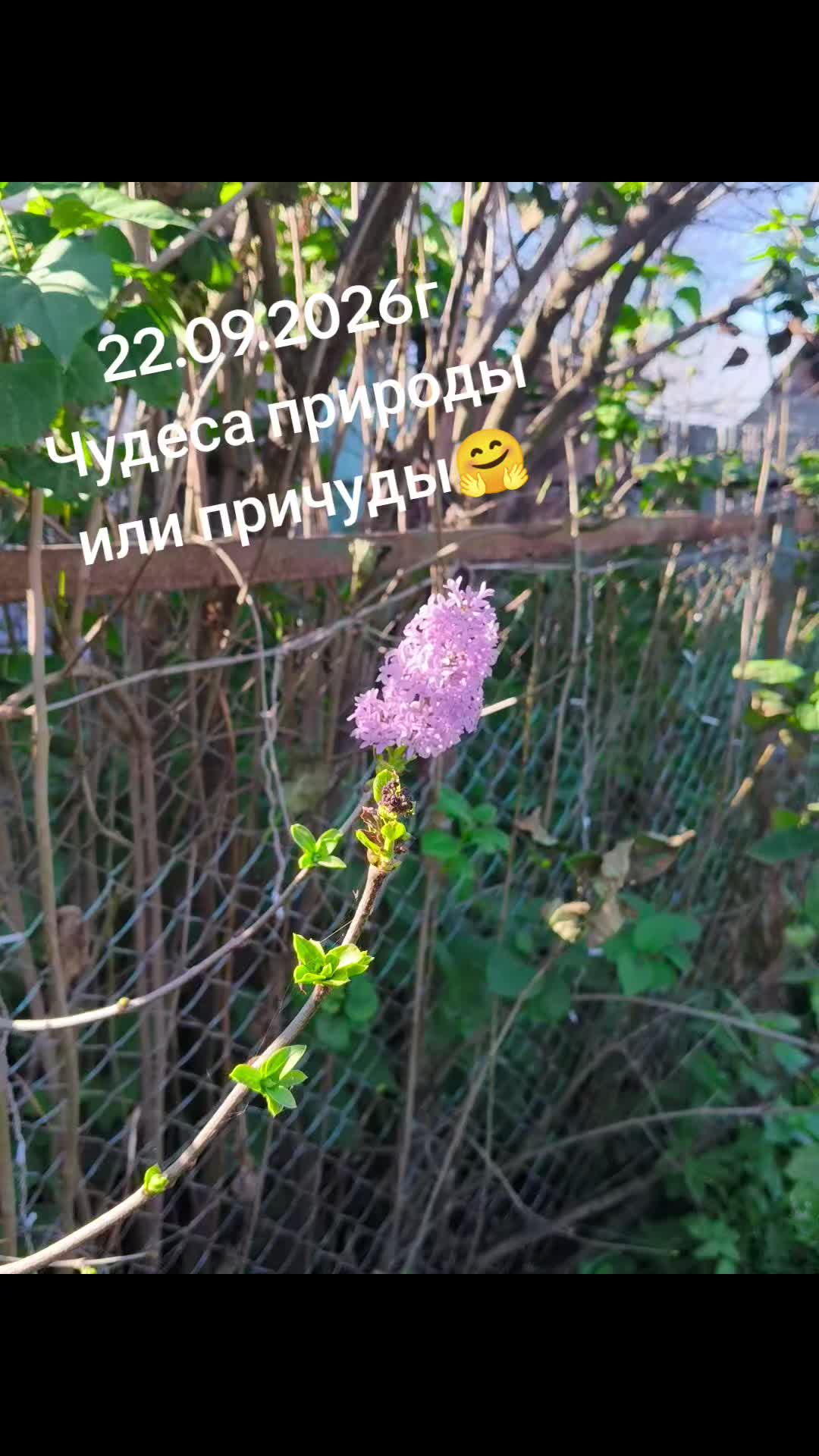 @marina.crechetova