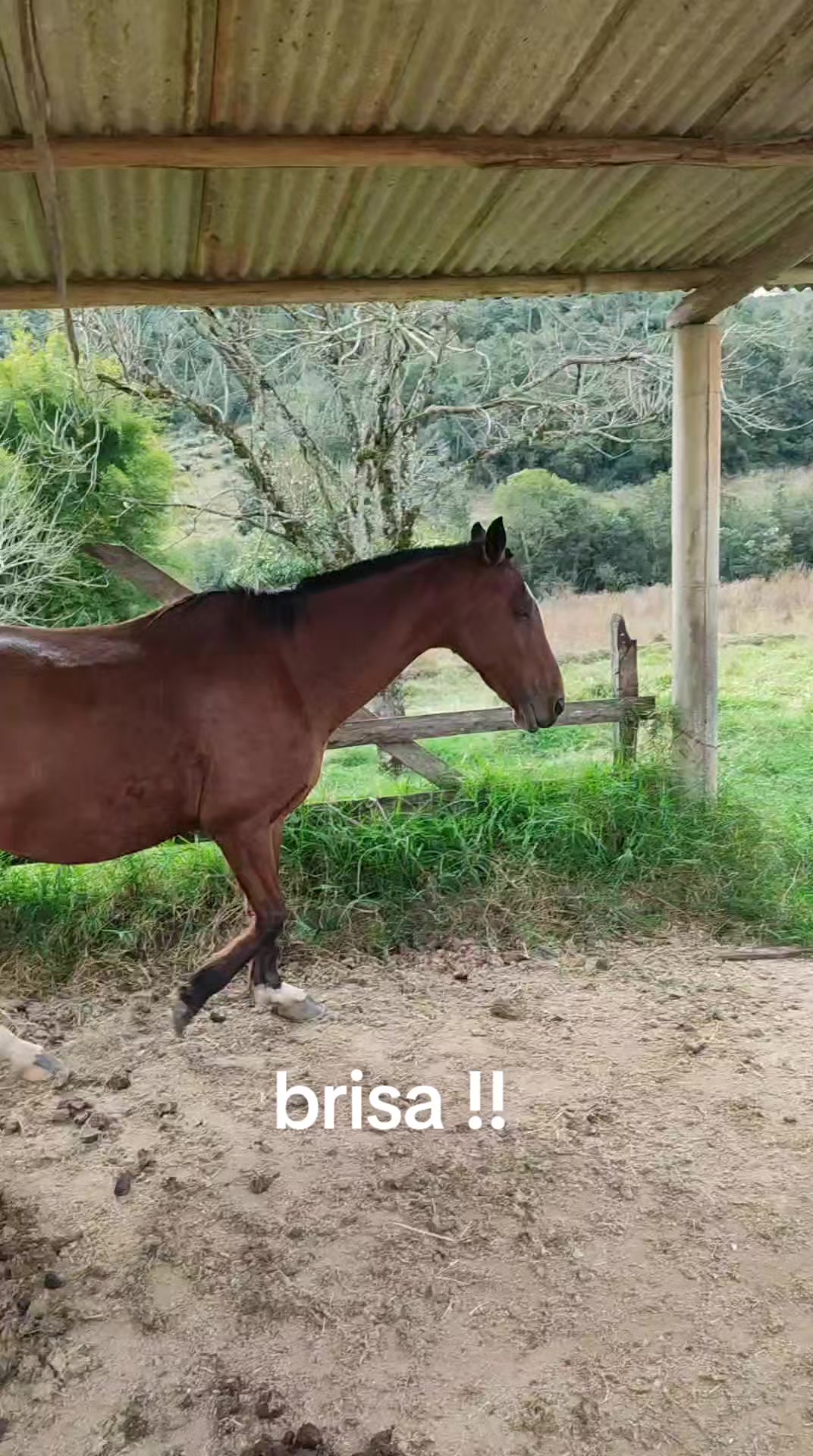 @mariamarciaoliv57