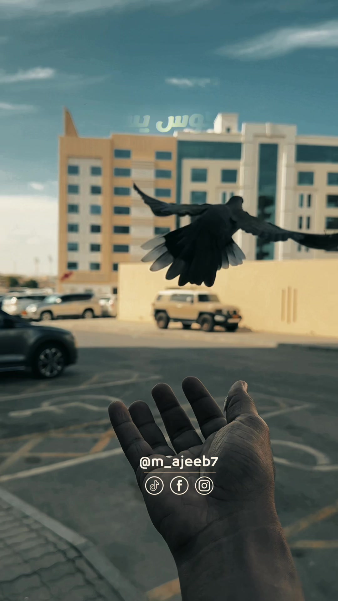 @محمد عجيب