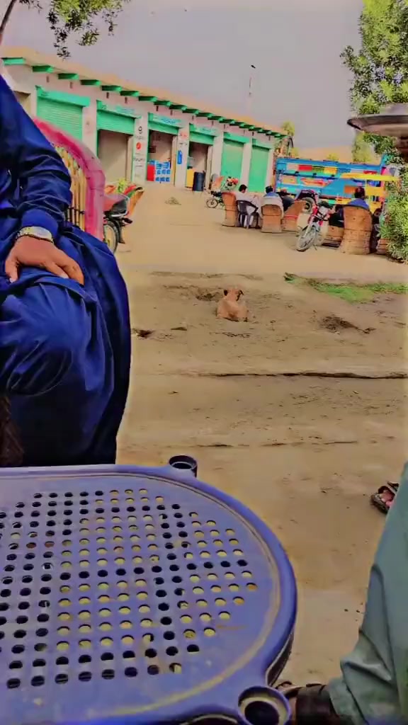 @Aijaz rajar 0786