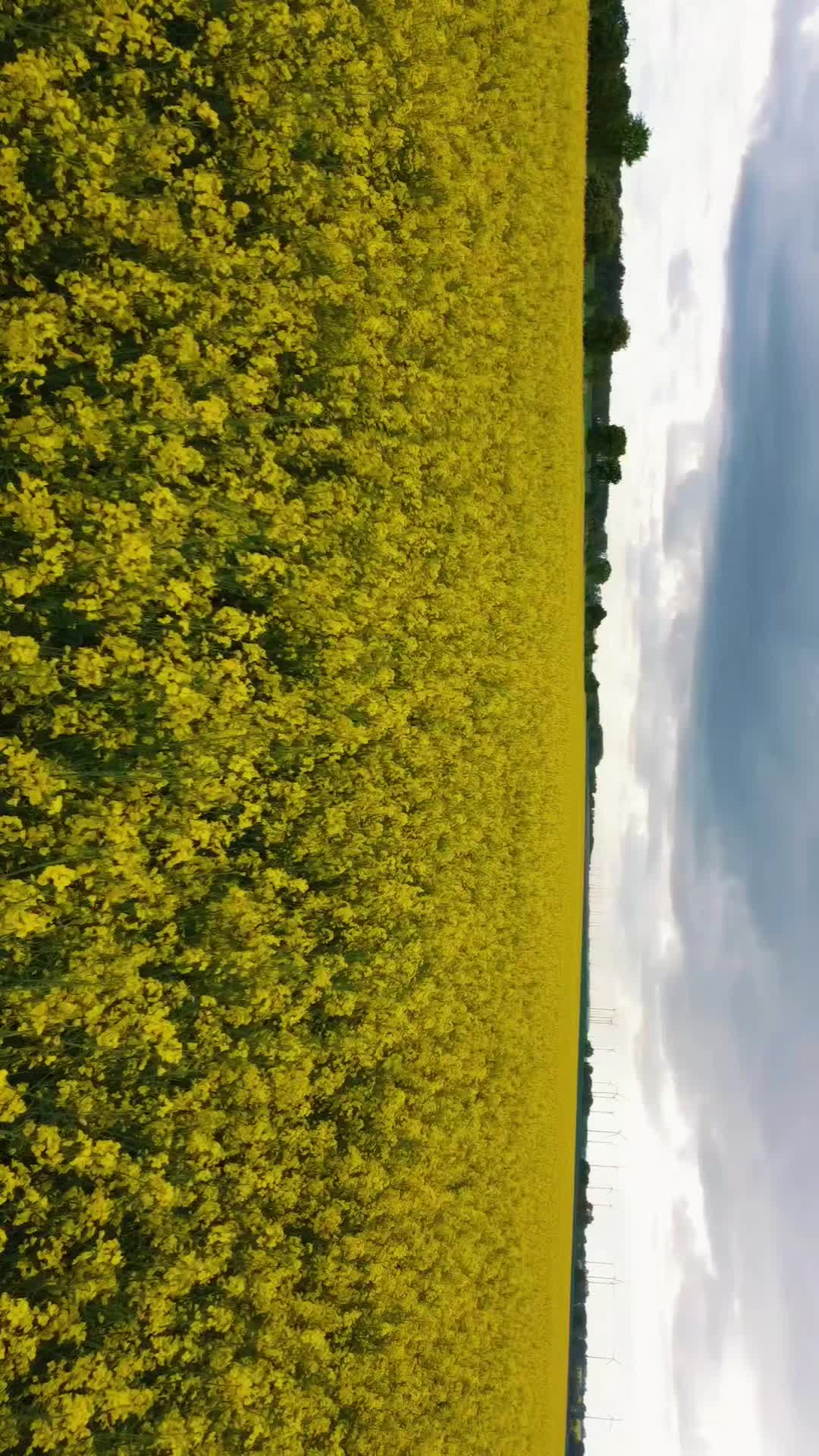 @Chrischi