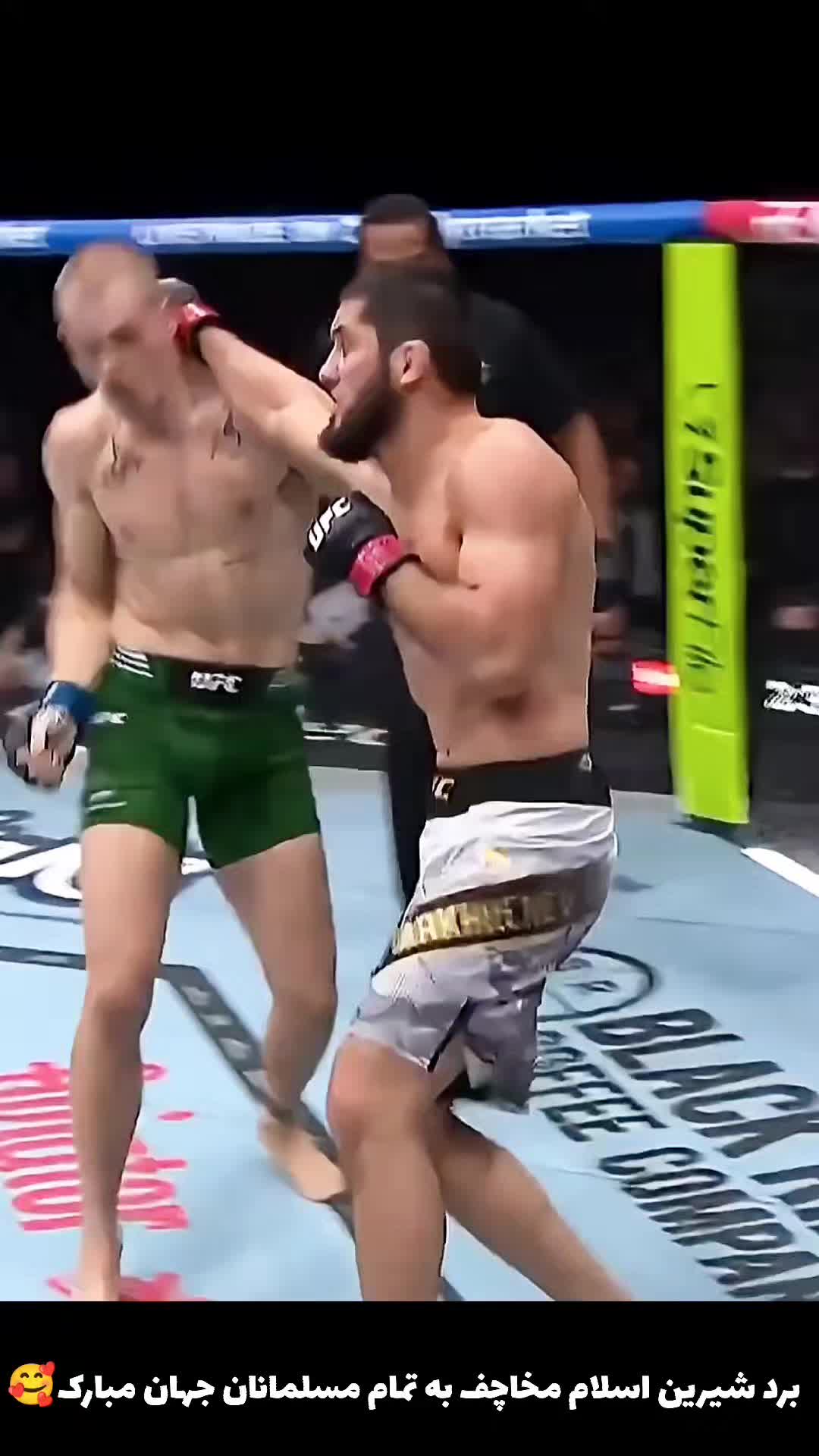 @Fight Show Pluse