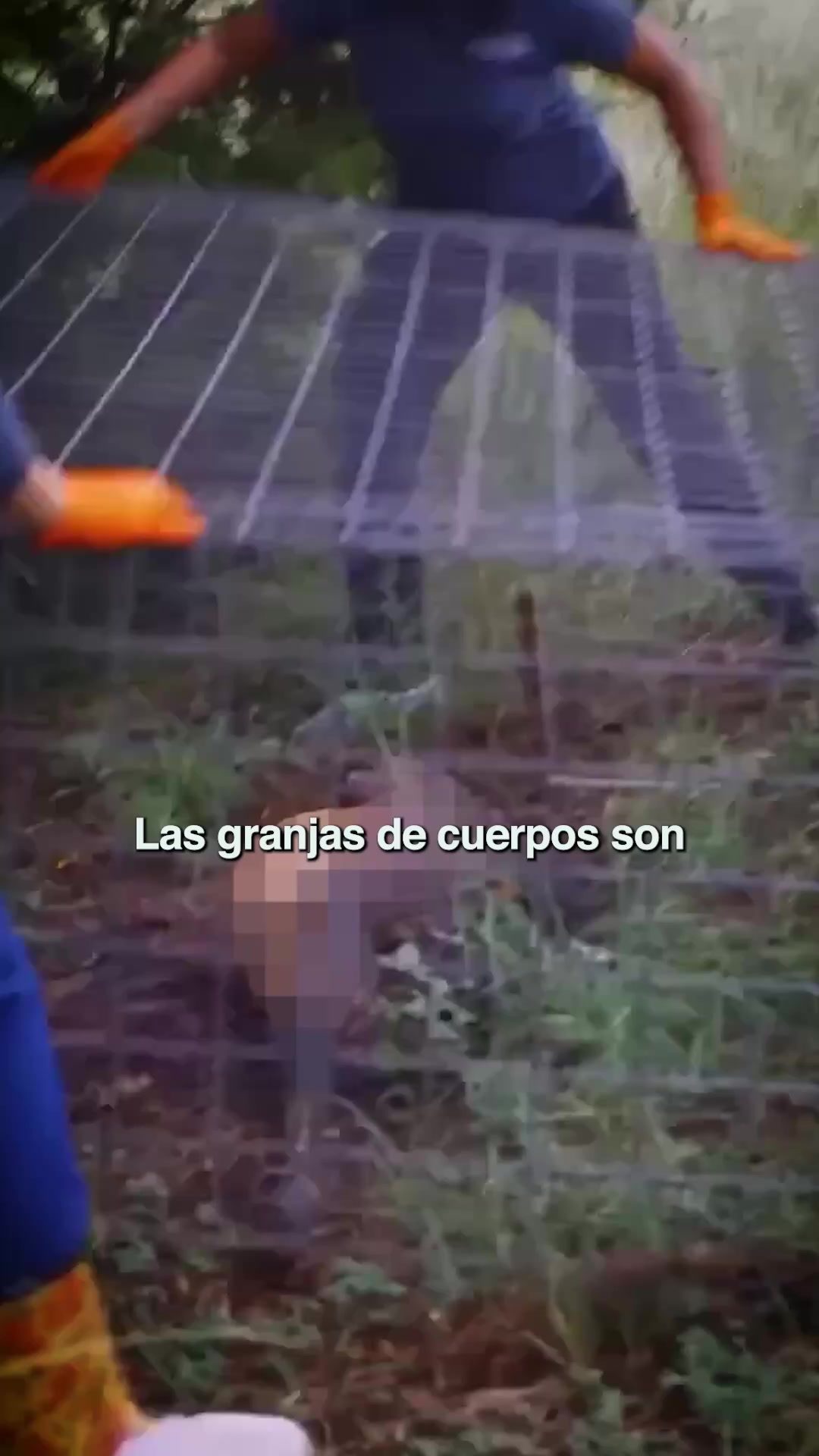 @Investigador Forense