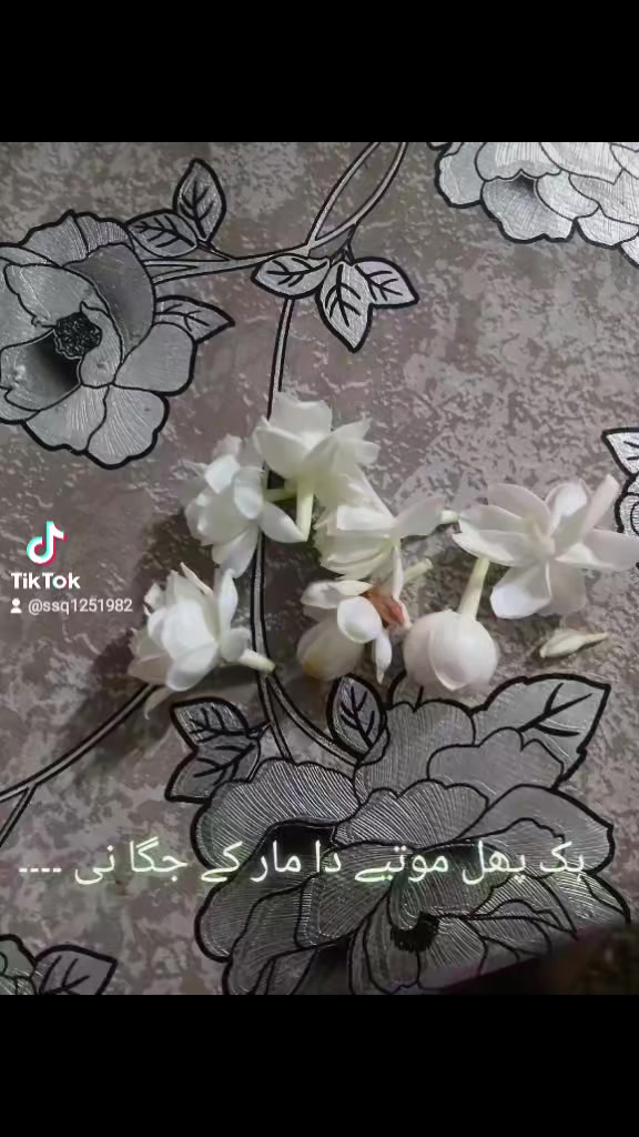 @Saad Sulman Qureshi